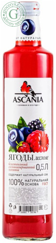 Ascania carbonated drink, forest berries, 0.5 l
