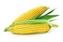 Corn, fresh (pc)