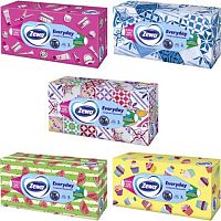 Zewa Everyday facial tissues (100 in 1)