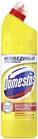 Domestos toilet cleaner, citrus fresh, 750 ml