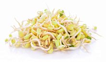 Bean sprouts (500 g/kg)