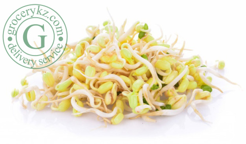 Bean sprouts (500 g/kg)