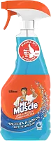 Mr Muscle glass cleaner, after the rain, 500 ml