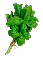 Basil (100 g)