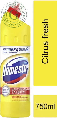 Domestos toilet cleaner, citrus fresh, 750 ml