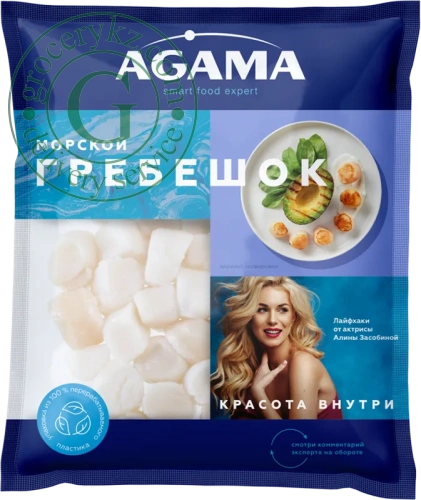 Agama scallop, 250 g