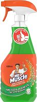 Mr Muscle glass cleaner, morning dew, 500 ml