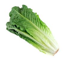 Romaine lettuce, 1 pc