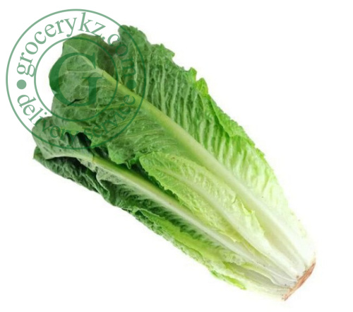 Romaine lettuce, 1 pc