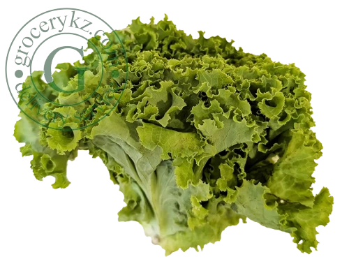 Lettuce, bunch Lettuce, bunch
