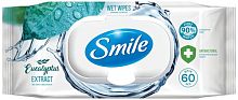 Smile antibacterial wet wipes, eucalyptus (60 in 1)