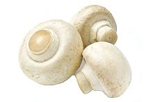 Champignons, mushrooms (kg/100g)