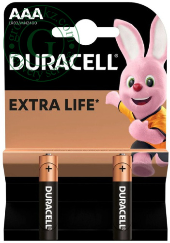 Duracell Extra Life AAA batteries, 2 pc