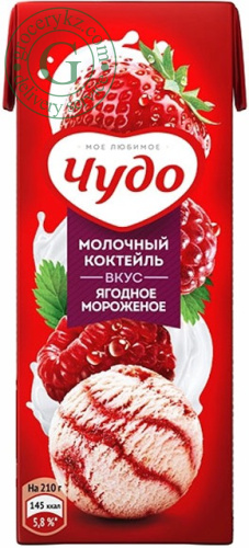 Chudo milkshake, berry ice cream, 0.2 l